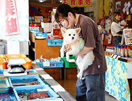 ペット同伴イメージ