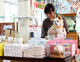ペット同伴イメージ